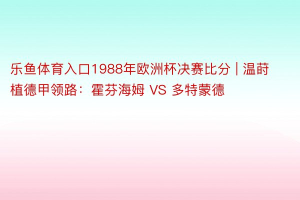 乐鱼体育入口1988年欧洲杯决赛比分 | 温莳植德甲领路：霍芬海姆 VS 多特蒙德